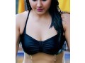 call-girls-in-vasant-kunj-delhi-9319404503-small-0